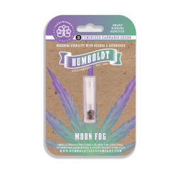 Moon Fog Fem (HmbSC) NEW 2025