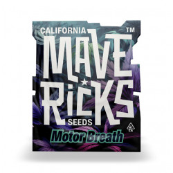 Motor Breath fem photofem (Mvr)