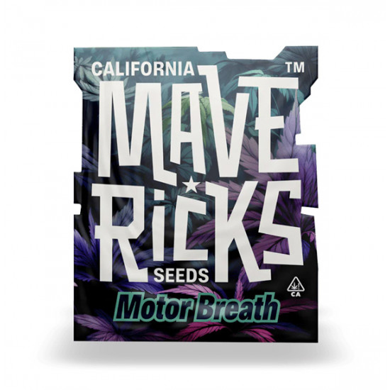 Motor Breath fem photofem (Mvr)