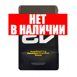 Apple Strudel Auto autofem (FsBd) NEW 2024