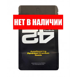 Apple Strudel Auto autofem (FsBd) NEW 2024