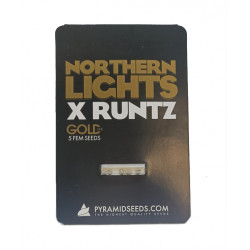 Northern Lights x Runtz fem (Py)