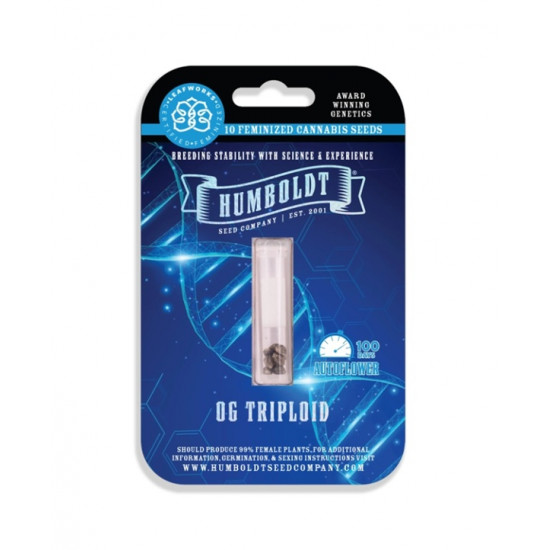 OG Triploid Auto autofem (HmbSC) NEW 2025 OG Triploid Auto autofem (HmbSC) NEW 2025