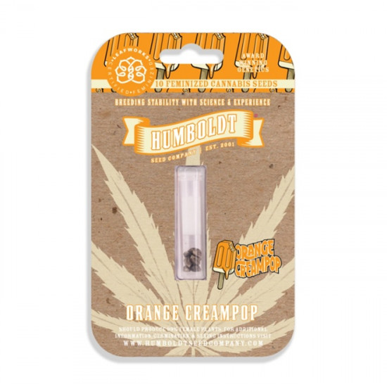 Orange Creampop Fem (HmbSC)