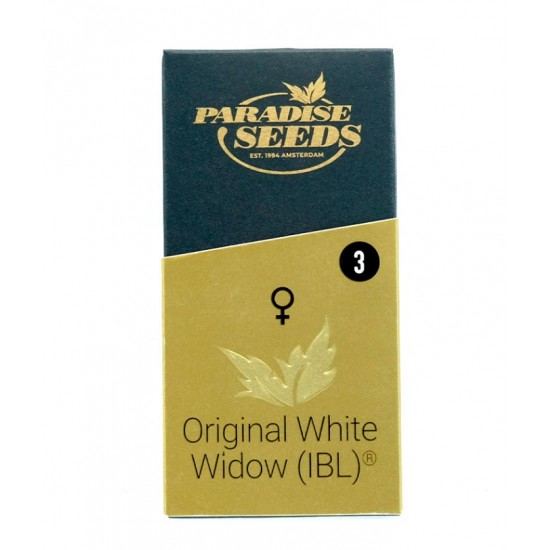 Original White Widow fem (P)