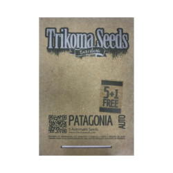 Patagonia Auto autofem (TrkS)