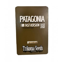 Patagonia Fast Version fem (TrkS)