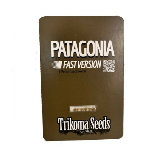 Patagonia Fast Version fem (TrkS) Patagonia Fast Version fem (TrkS)