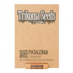 Patagonia fem (TrkS)