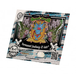 Permanent Jealousy XL Auto autofem (SwS) NEW 2025