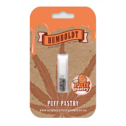 Puff Pastry Fem (HmbSC) NEW 2026