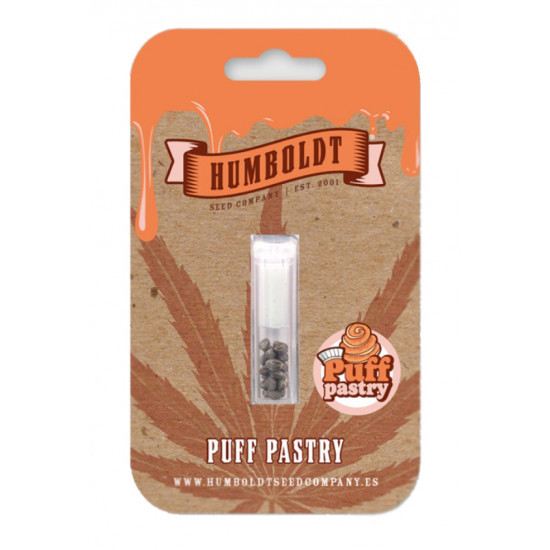 Puff Pastry Fem (HmbSC) NEW 2026
