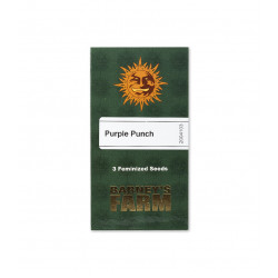 Purple Punch fem (Brn)