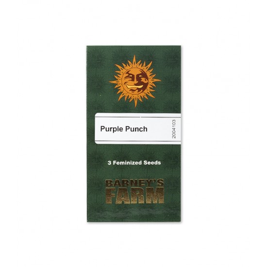 Purple Punch fem (Brn)