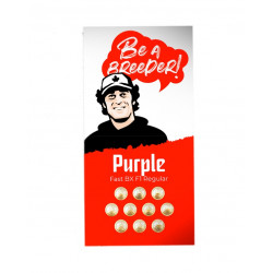 Purple Fast F1 BX regular fast reg (DctCh)