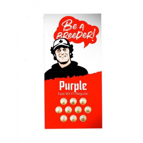 Purple Fast F1 BX regular fast reg (DctCh)