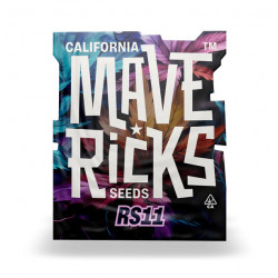 RS11 fem photofem (Mvr)