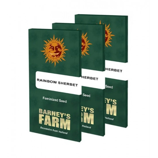 Rainbow Sherbet fem (Brn)