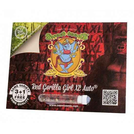 Red Gorilla Girl XL Auto autofem (SwS) Red Gorilla Girl XL Auto autofem (SwS)
