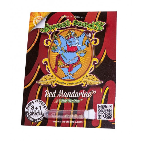 Red Mandarine F1 Fast Version fem (SwS) Red Mandarine F1 Fast Version fem (SwS)