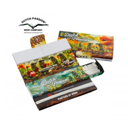 Rolling papers (DP) (Б/Р)