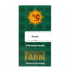 Runtz fem (Brn)
