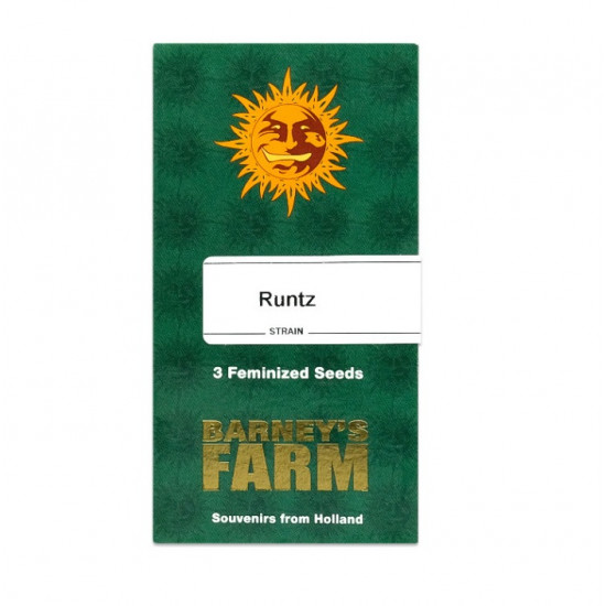 Runtz fem (Brn) Runtz fem (Brn)