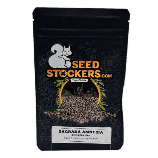 Sagrada Amnesia fem (SdSt) NEW 2024 Sagrada Amnesia fem (SdSt) NEW 2024