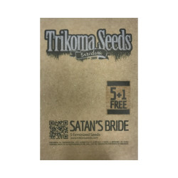 Satan’s Bride fem (TrkS)