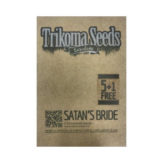 Satan’s Bride fem (TrkS) Satan’s Bride fem (TrkS)