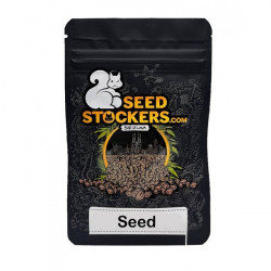 Sticky Fingers Auto autofem  (SdSt)