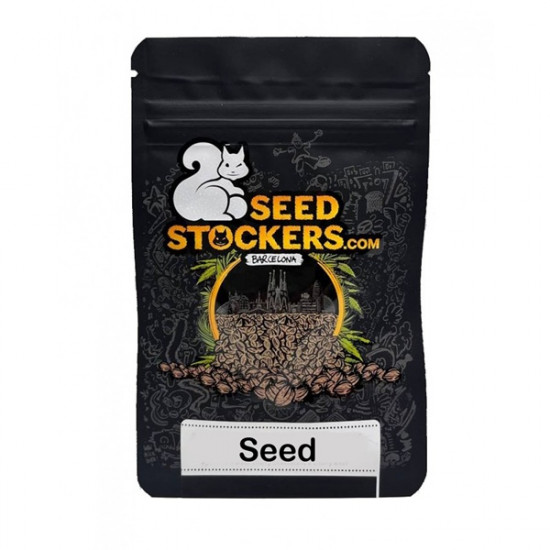 Santa Marta Haze Auto autofem (SdSt)