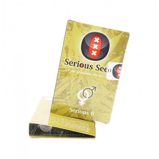 Serious 6 reg (SS) Serious 6 reg (SS)
