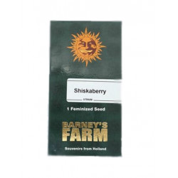 Shiskaberry fem (Brn)