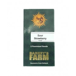 Sour Strawberry fem (Brn)