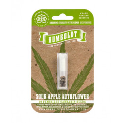 Sour Apple Auto autofem (HmbSC)