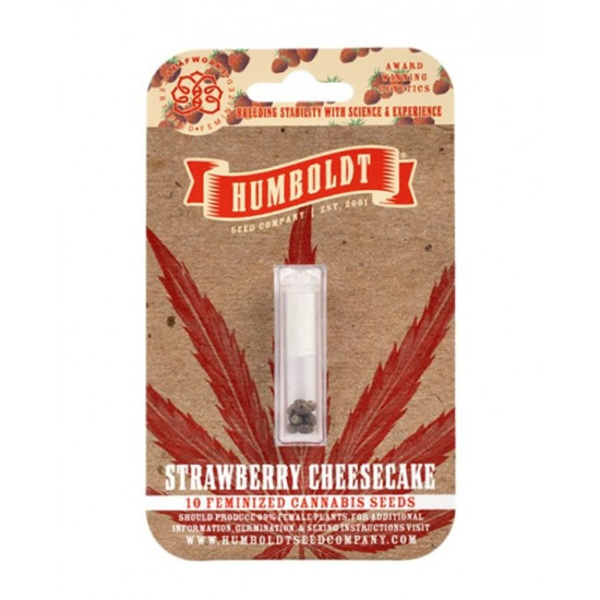 Strawberry Cheesecake Fem (HmbSC) Strawberry Cheesecake Fem (HmbSC)