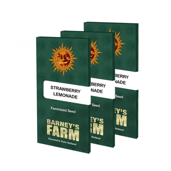 Strawberry Lemonade fem (Brn) Strawberry Lemonade fem (Brn)