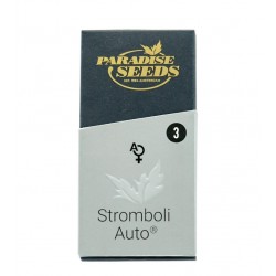 Stromboli Auto autofem (P)