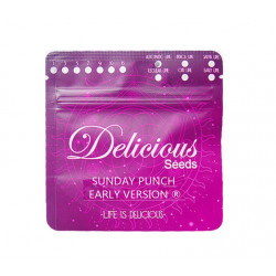 Sunday Punch Early Version (DelC) NEW 2025