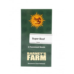 Super Boof fem (Brn)