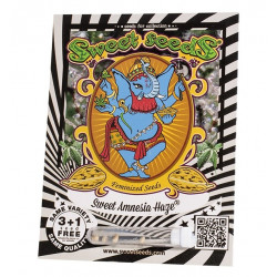 Sweet Amnesia Haze® fem (SwS)