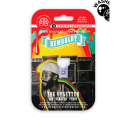 The Upsetter Fem (HmbSC)