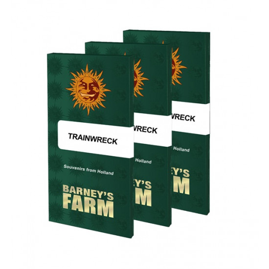 Trainwreck fem (Brn)