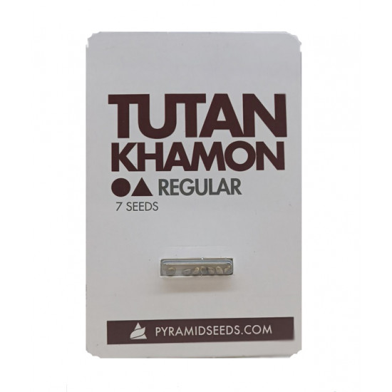 Tutankhamon reg (Py)