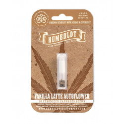 Vanilla Latte Auto (Feminised) autofem (HmbSC)