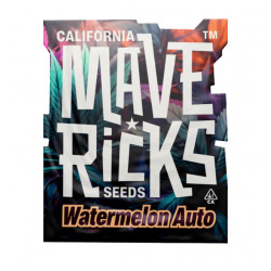 Watermelon Auto autofem (Mvr)