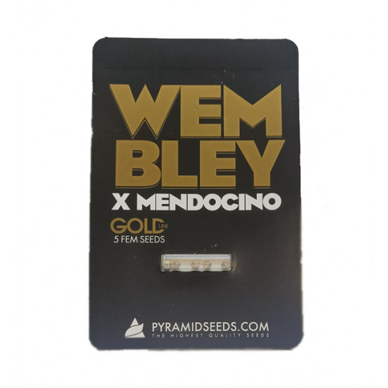 Wembley x Mendocino fem (Py)