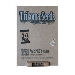 Wendy Auto autofem (TrkS)