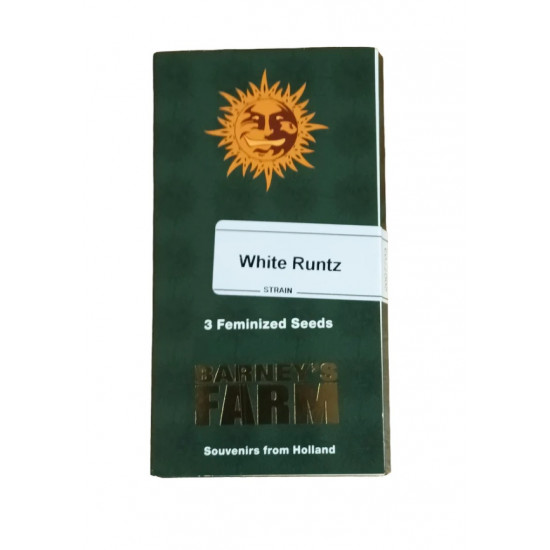 White Runtz fem (Brn)